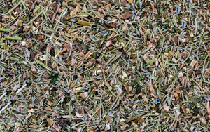 Herbal Tea - Headache