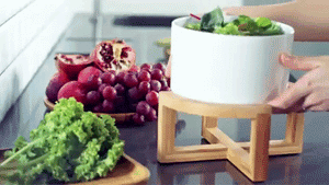 Bowl Stand & 9" Bowl