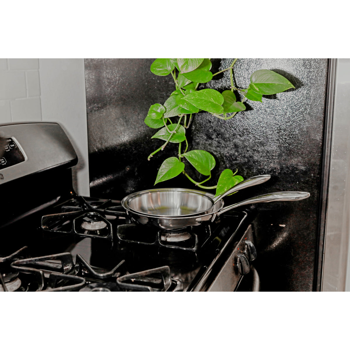 Chef Series Bundle - The Ultimate Sous Vide Kit