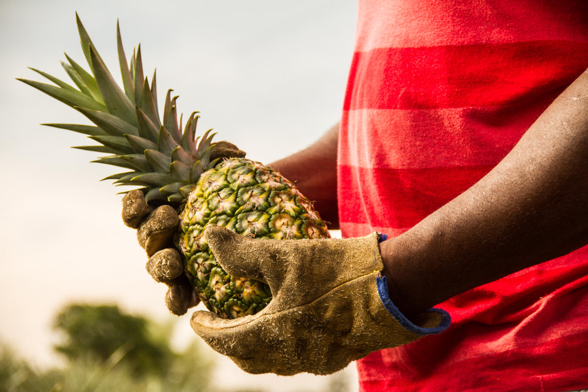 2GO! Organic Dried Pineapple